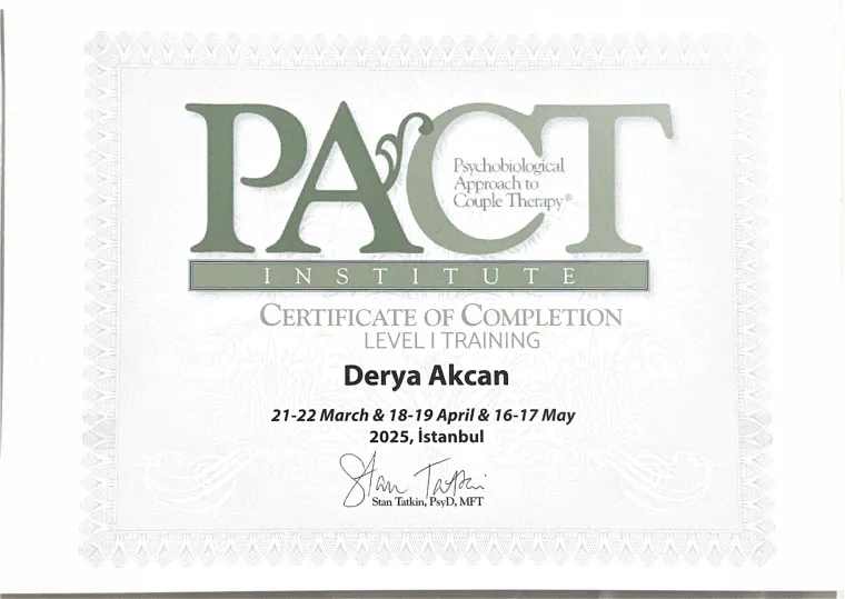 PACT Institute Level I tamamlama sertifikası